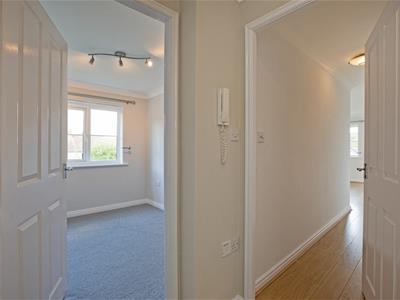 Picture 11